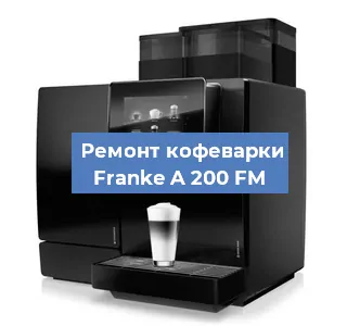 Ремонт капучинатора на кофемашине Franke A 200 FM в Красноярске